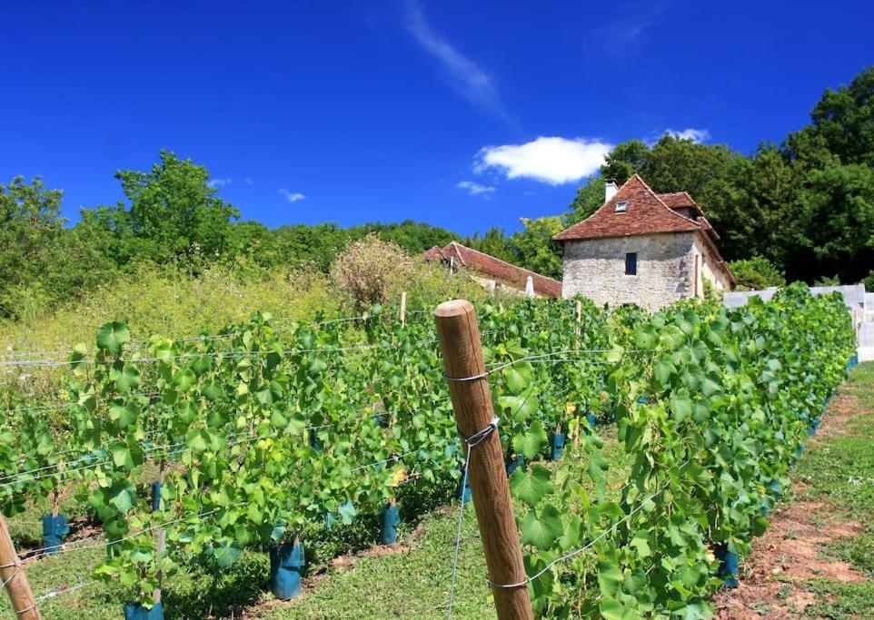 Le Haut Repaire Coubjours Quarto foto